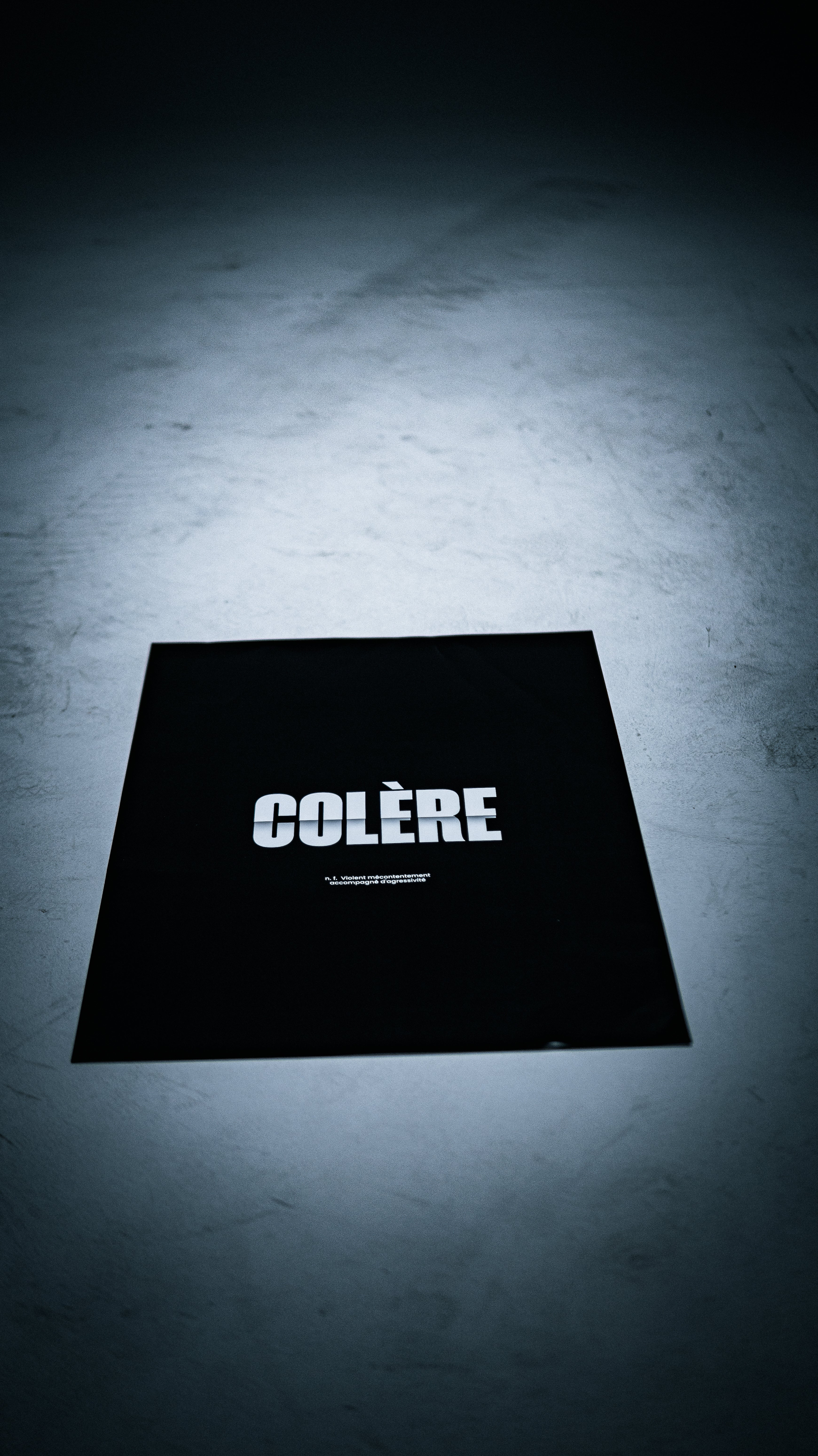 AFFICHE COLÈRE